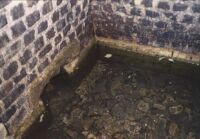 Gr&uuml;ner P&uuml;tz Detail