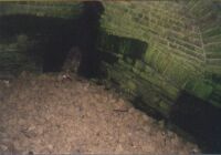 Brunnenstube 2